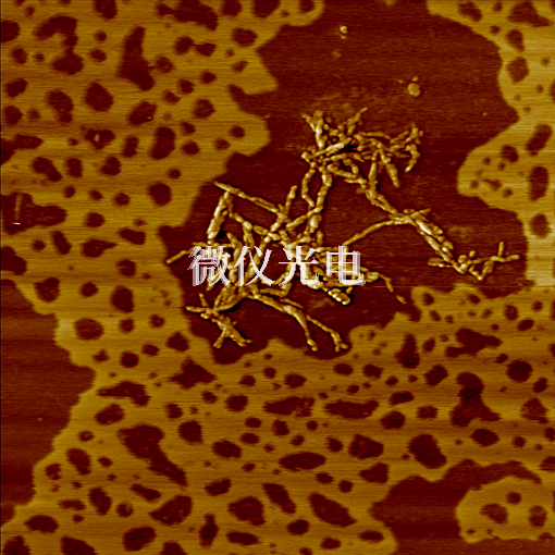 原子力顯微鏡.png