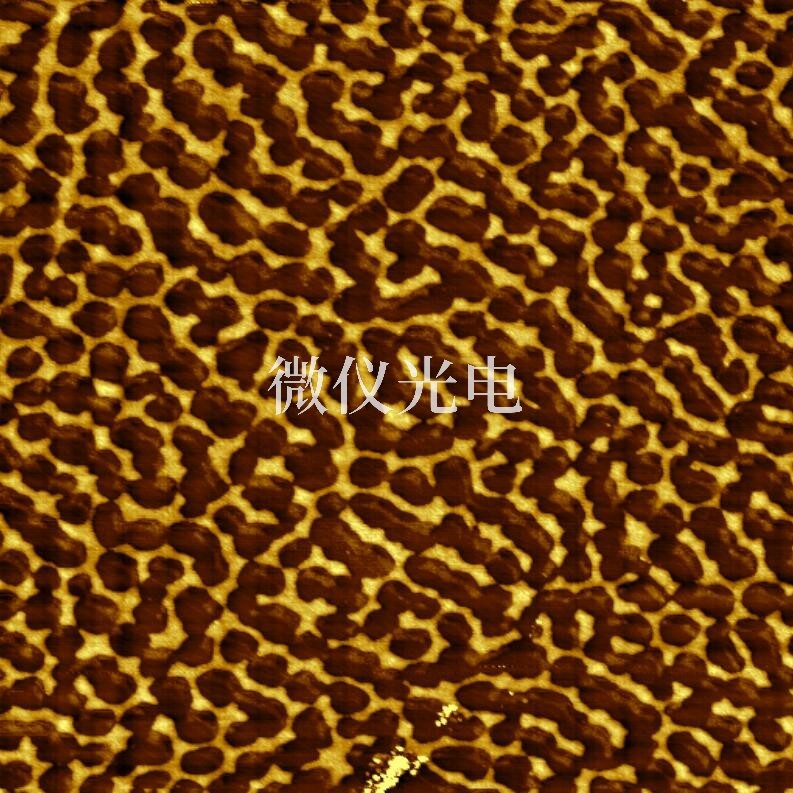 原子力顯微鏡在生化研究中的應用