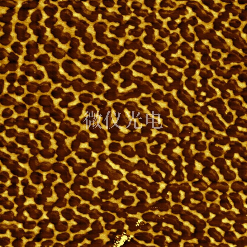 AFM原子力顯微鏡有那些技術(shù)優(yōu)勢(shì)